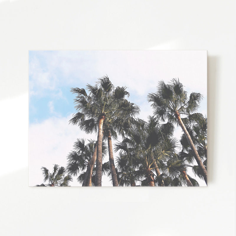Palms in the Sky Beach Photo No1 - Sage and Rose Prints