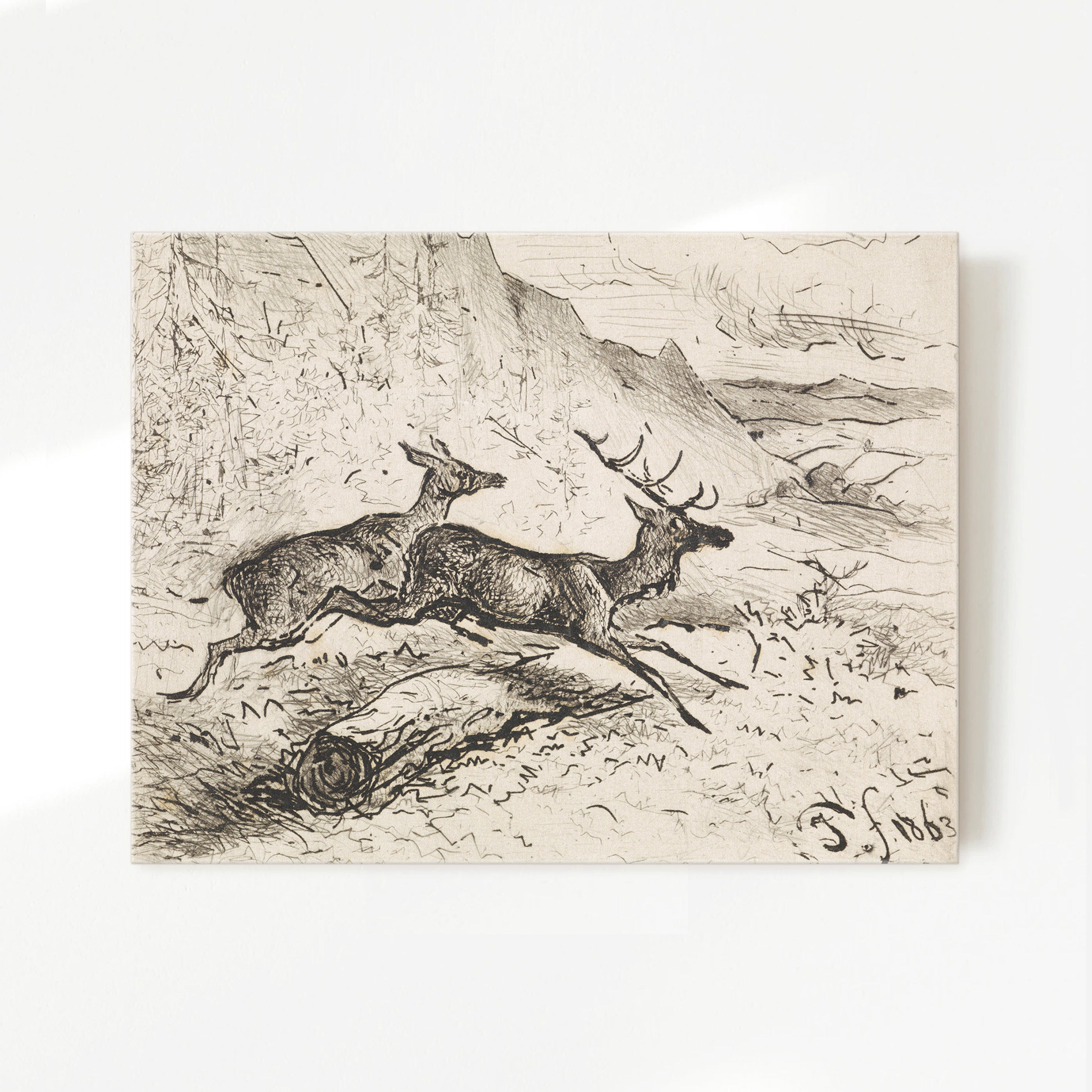 Charcoal Drawing of Deer No2 - Sage and Rose Prints