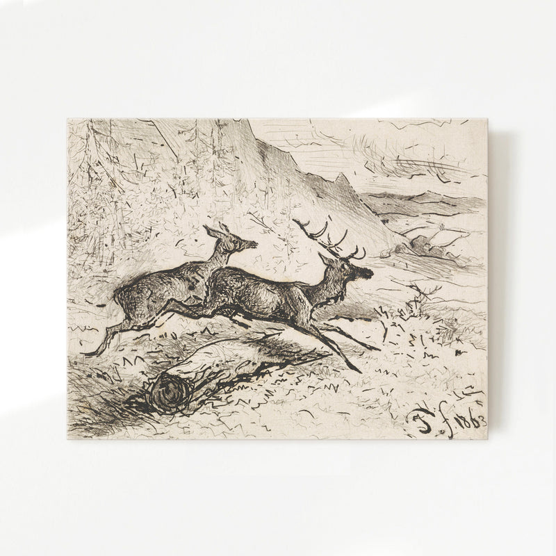 Charcoal Drawing of Deer No2 - Sage and Rose Prints