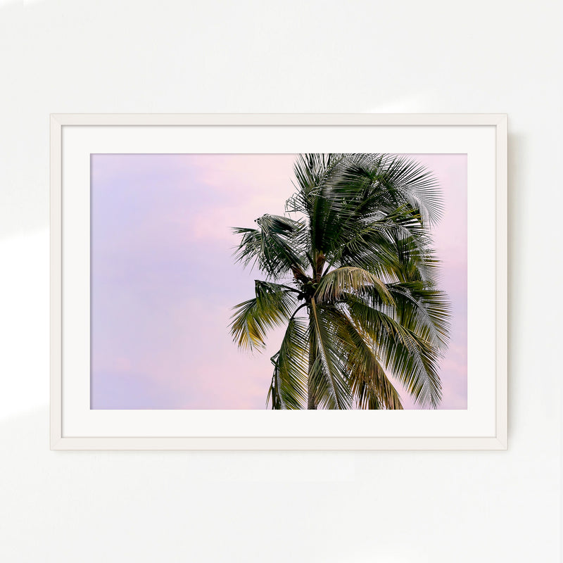 Lone Palm Tree Against a Pink Sky No1 - Sage and Rose Prints