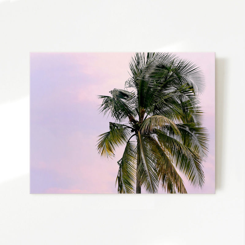 Lone Palm Tree Against a Pink Sky No1 - Sage and Rose Prints