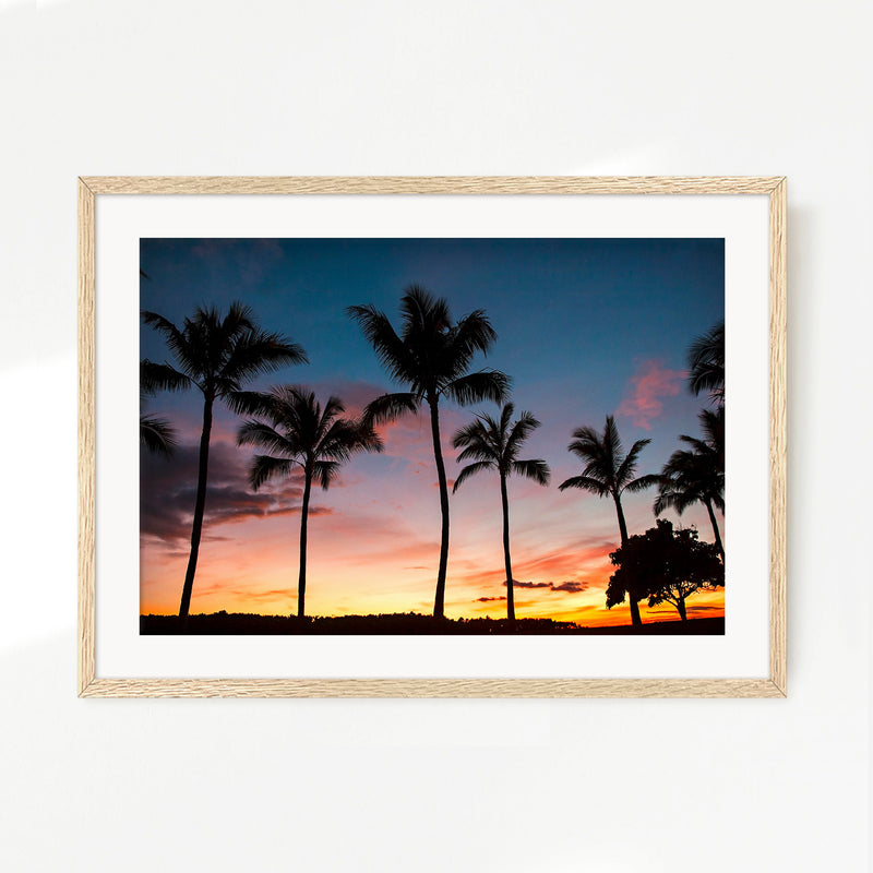 Palm Trees Sunset Photo Print - Sage and Rose Prints