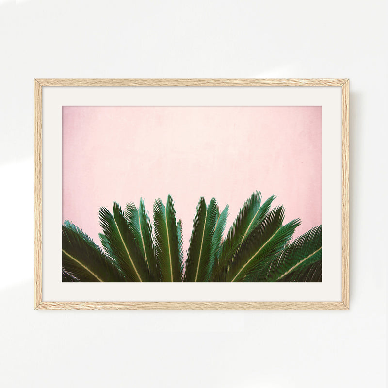 Tropical Leaves and Soft Pink - Sage and Rose Prints