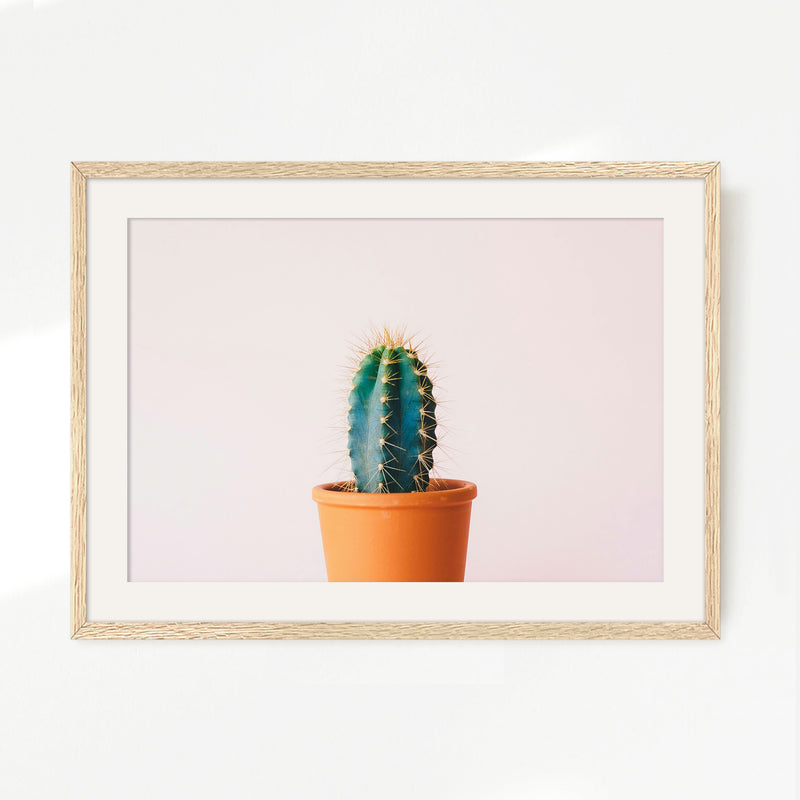 Pink Cactus Wall Art - Sage and Rose Prints