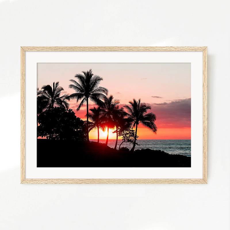 Palm Trees Silhouettes Sunset Photo No1 - Sage and Rose Prints