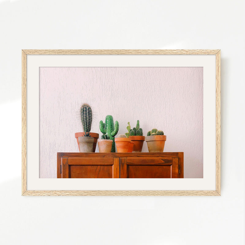 Potted Succulents and Cactus Photo - Sage and Rose Prints