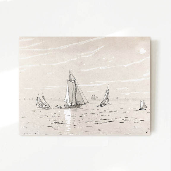 Sailboat Drawing 19-1x - Sage and Rose Prints