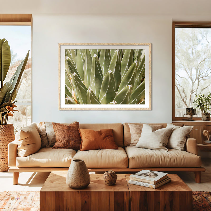 Nature's Armor Cactus Photo - Sage and Rose Prints
