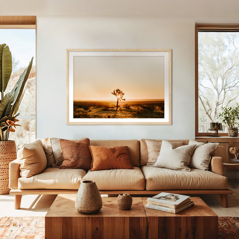 Desert Rising Lone Cactus Photo - Sage and Rose Prints