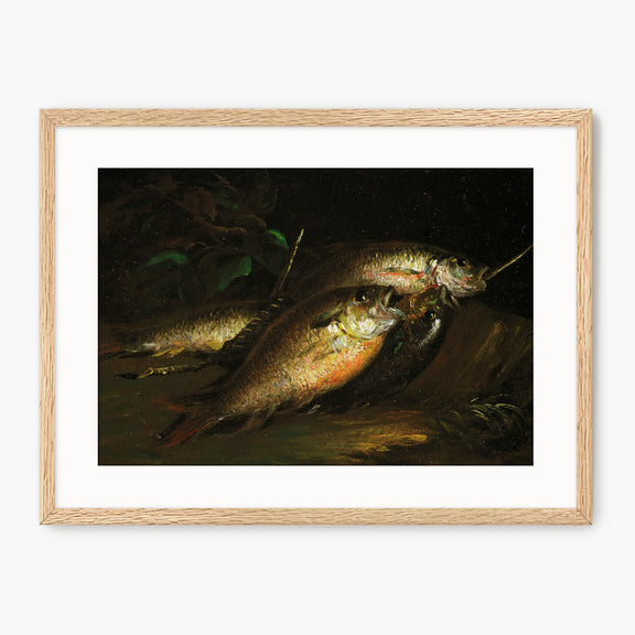 Fish Oil Painting Print - Sage and Rose Prints