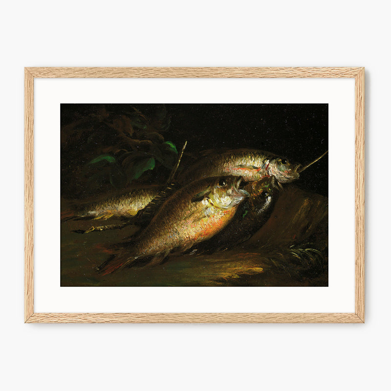 Fish Oil Painting Print - Sage and Rose Prints