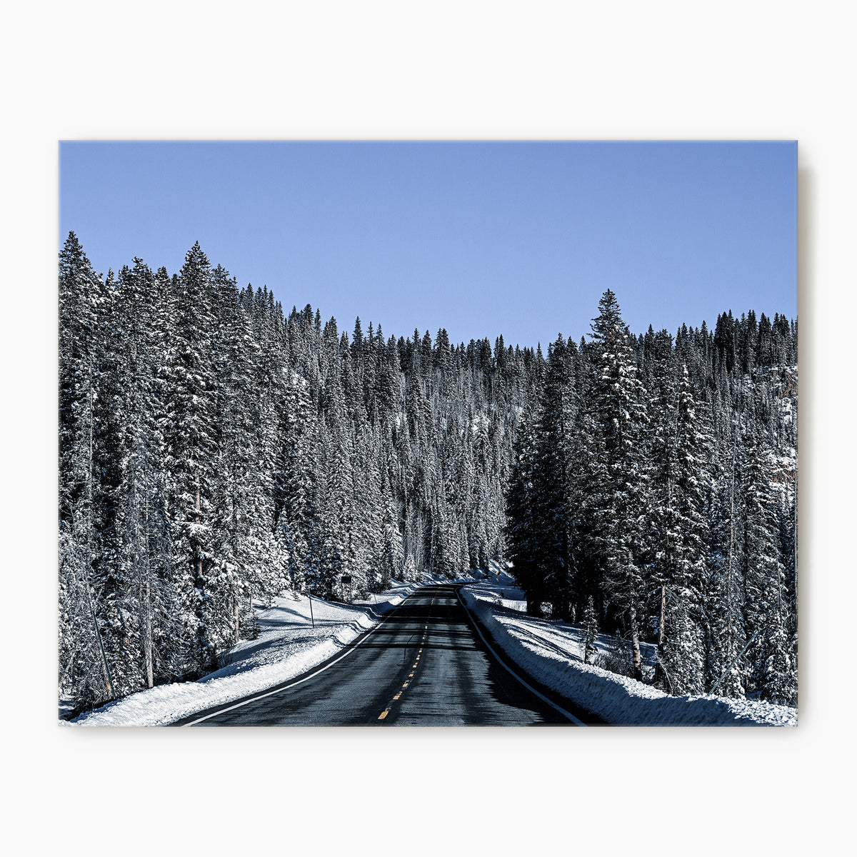 Rockies Road Photography