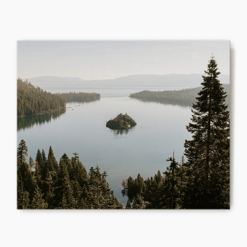 The Cove - Sage and Rose Prints