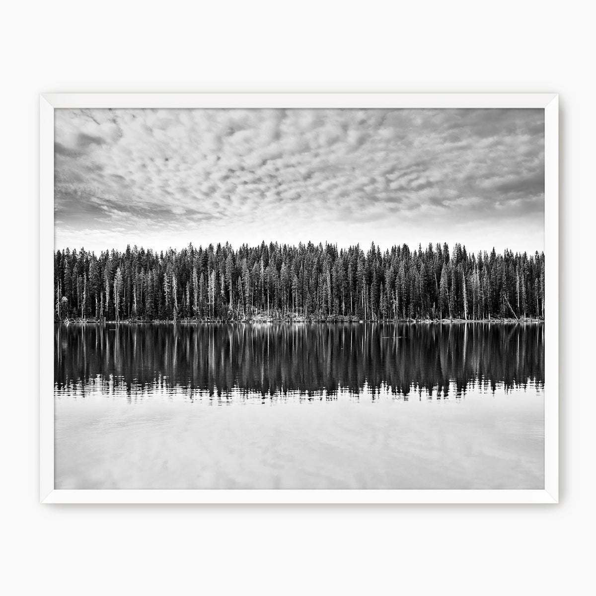 Lake Reflection Photography