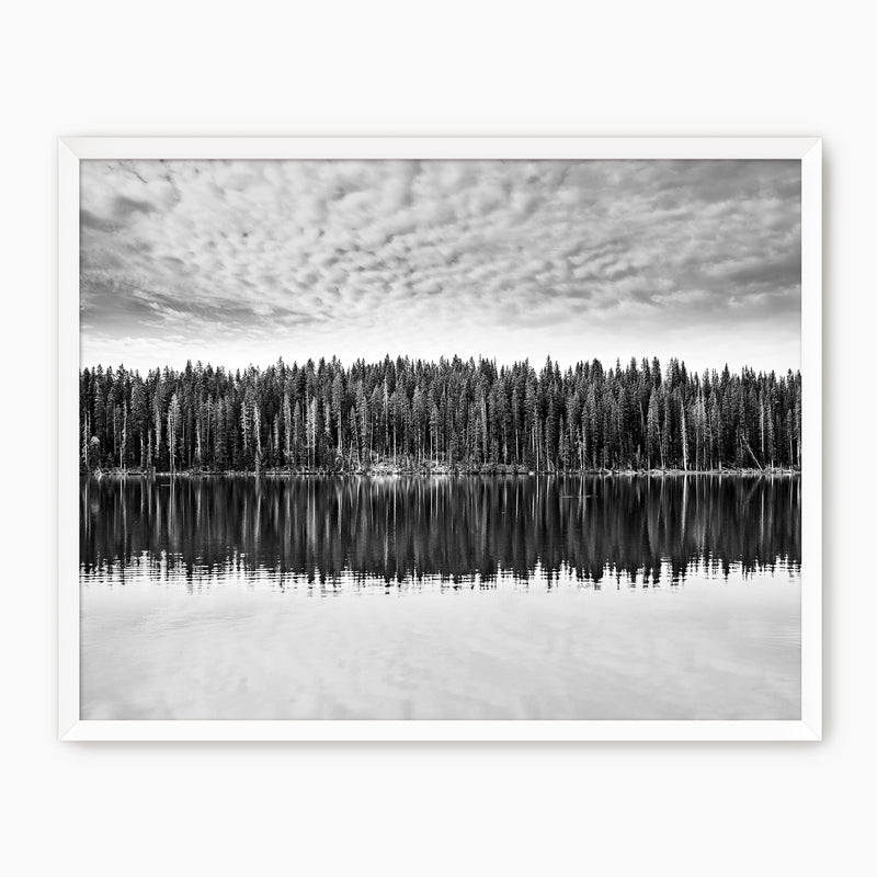 Lake Reflection Photography - Sage and Rose Prints