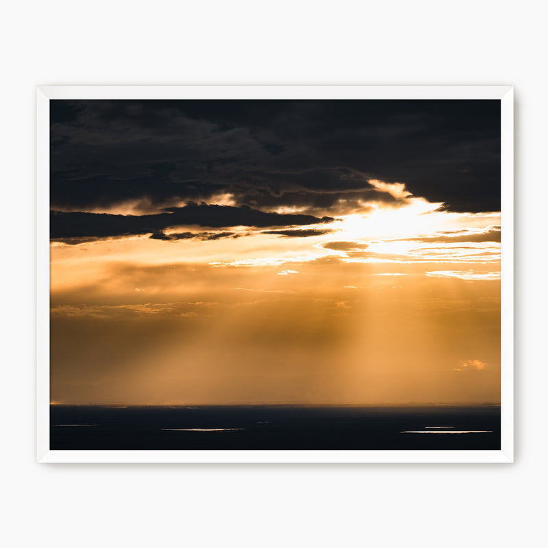 Beautiful Rays Photography - Sage and Rose Prints