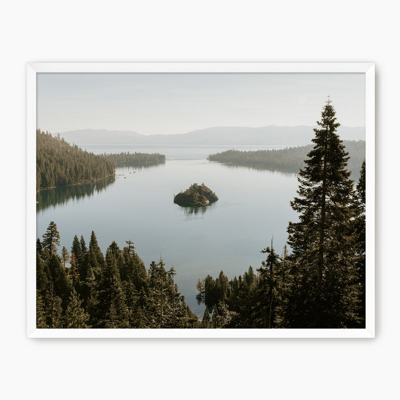 The Cove - Sage and Rose Prints