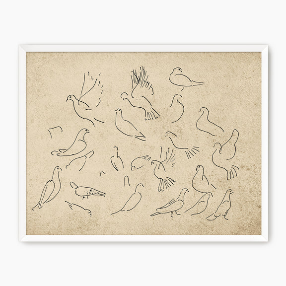 38-*AK-03- Vintage Doves Sketch - Sage and Rose Prints