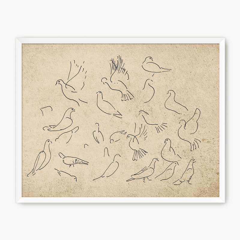 38-*AK-03- Vintage Doves Sketch - Sage and Rose Prints