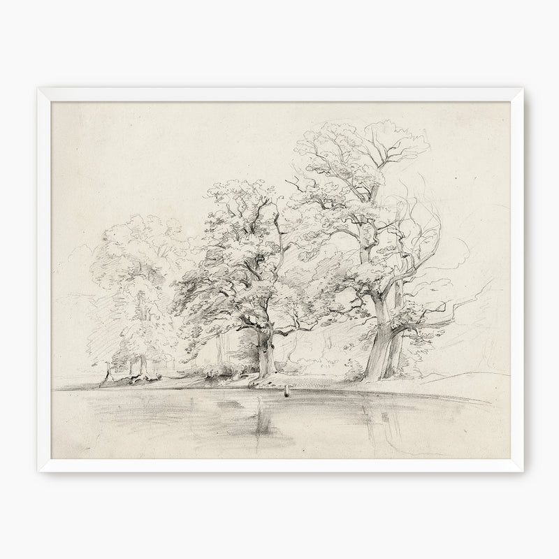 Charcoal Tree Sketch Art Print - Sage and Rose Prints