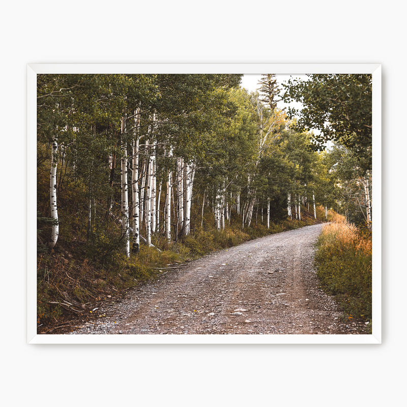 Path through the Woods Nature Photography - Sage and Rose Prints