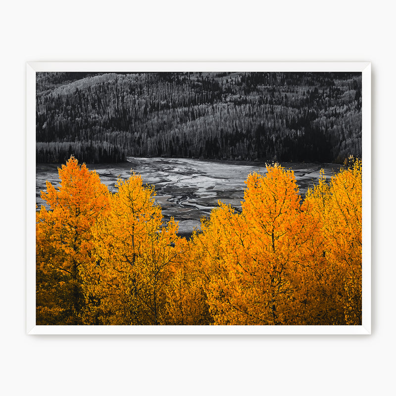 Vibrant Orange Fall Photography - Sage and Rose Prints