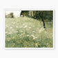 White Wildflower Landscape Print - Sage and Rose Prints