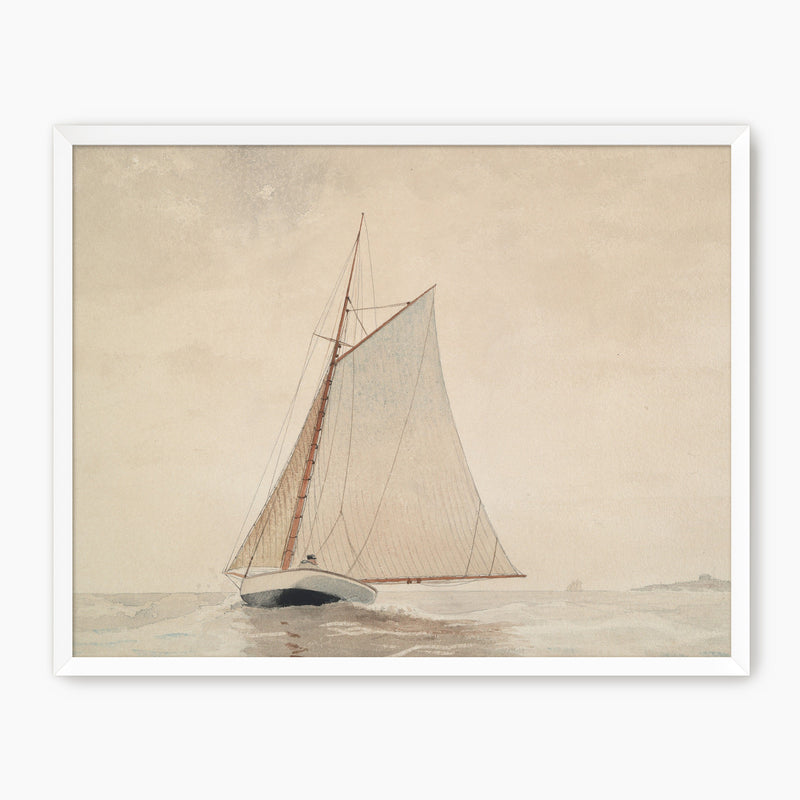 Vintage Sailboat Illustration No2 - Sage and Rose Prints