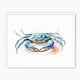 Blue Crab Watercolor Print - Sage and Rose Prints