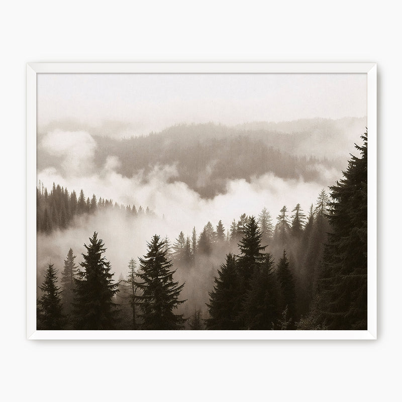 40-*AK-16-Misty Ridge Photo - HZ - Sage and Rose Prints