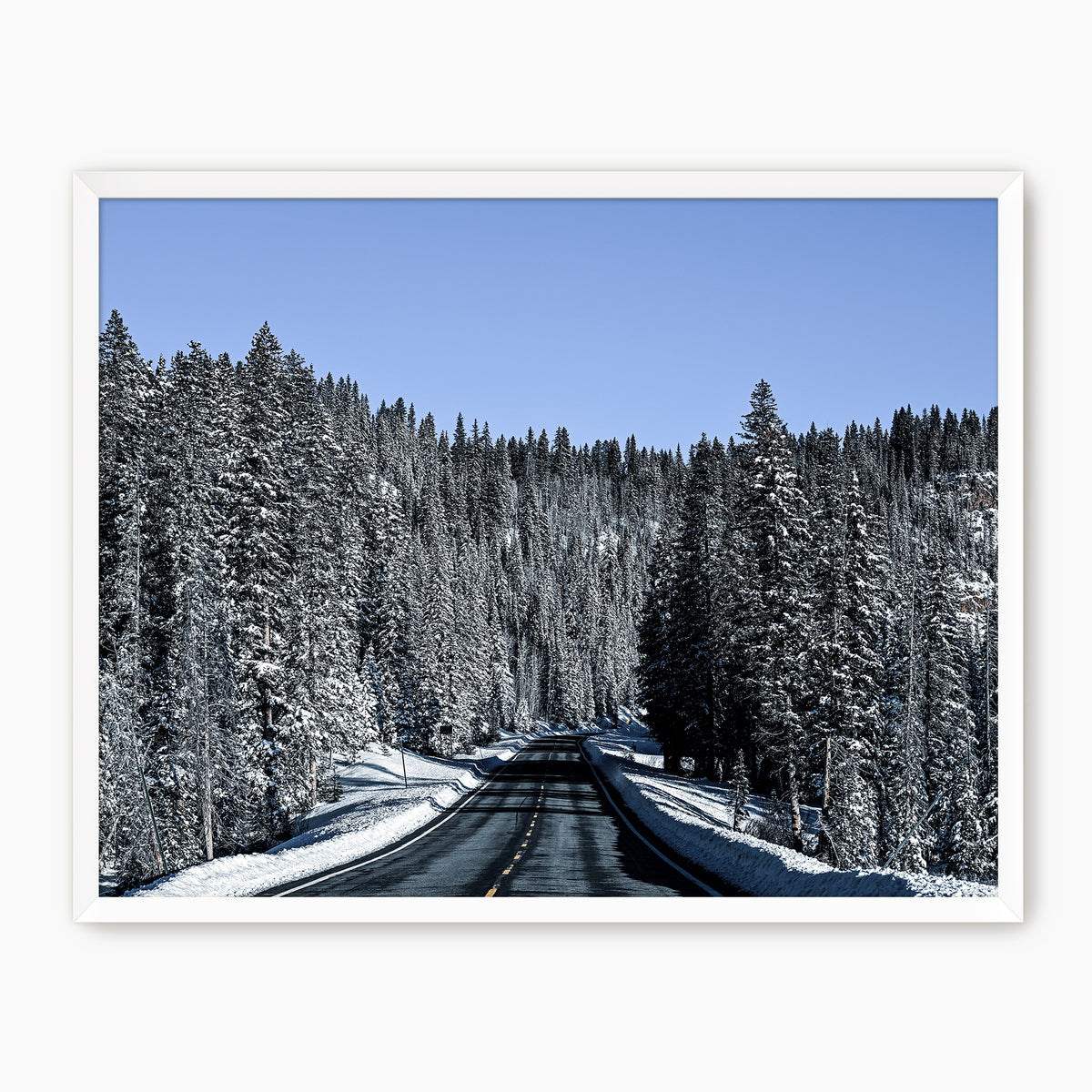 Rockies Road Photography