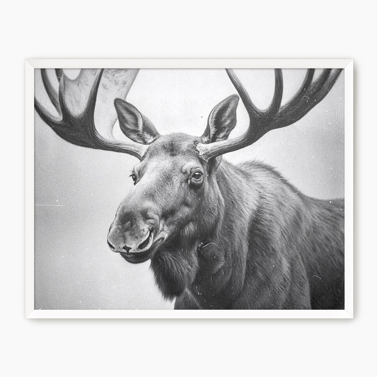 AK-17 Black and White Vintage Moose Photograph - Sage and Rose Prints