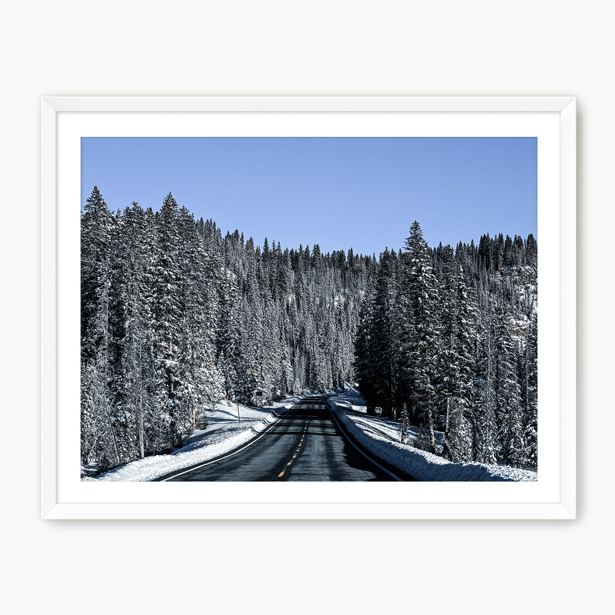 Rockies Road Photography