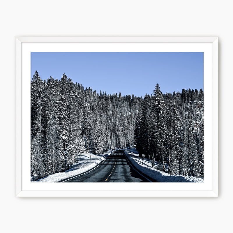 Rockies Road Photography - Sage and Rose Prints