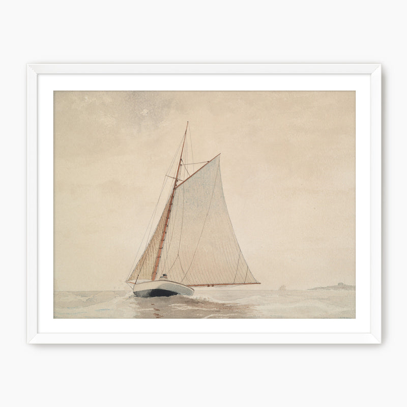 Vintage Sailboat Illustration No2 - Sage and Rose Prints