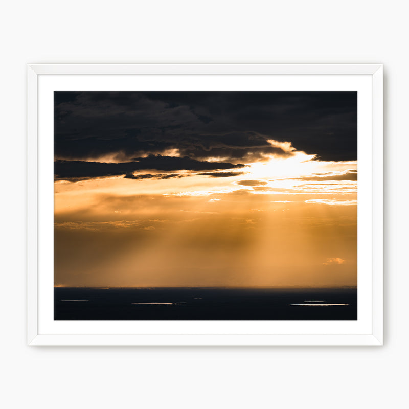 Beautiful Rays Photography - Sage and Rose Prints