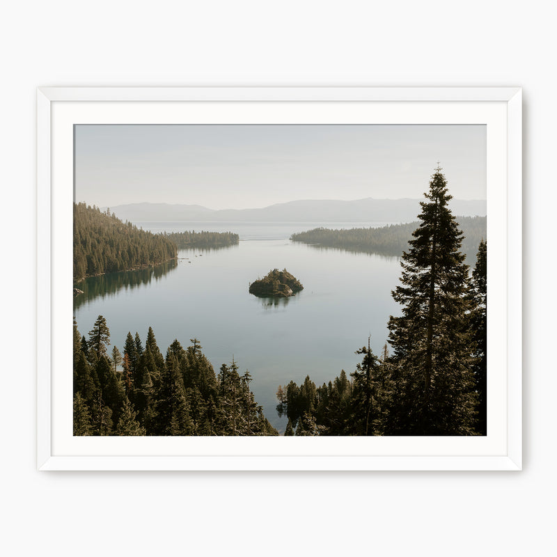 The Cove - Sage and Rose Prints