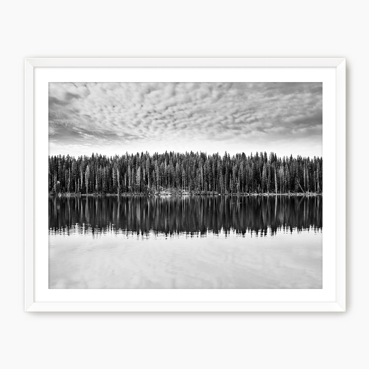 Lake Reflection Photography