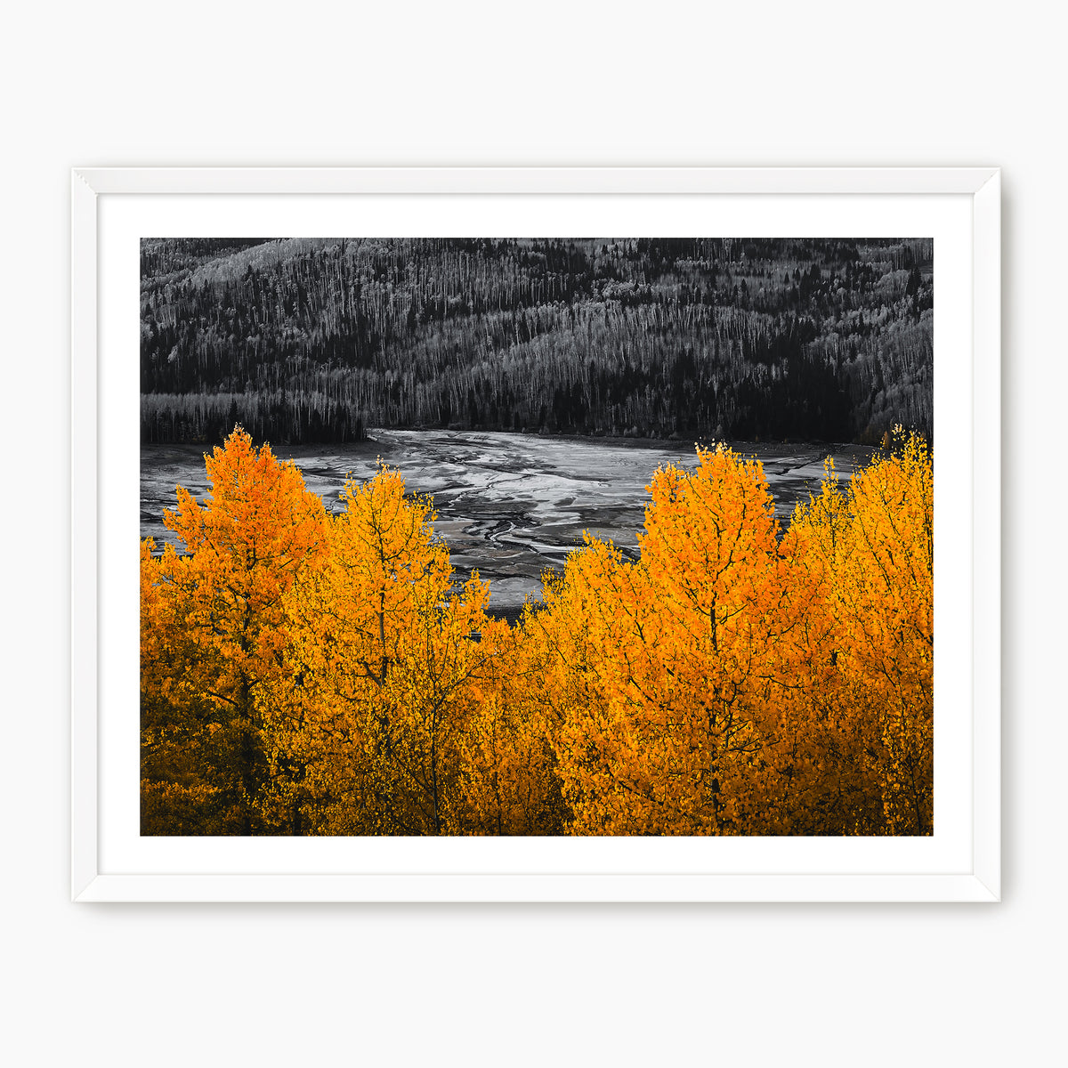 Vibrant Orange Fall Photography