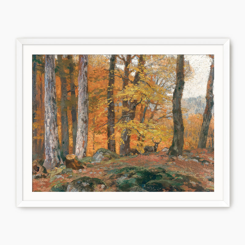 Forest Glade with Deer - Sage and Rose Prints