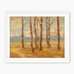 Birches in Autumn - Sage and Rose Prints