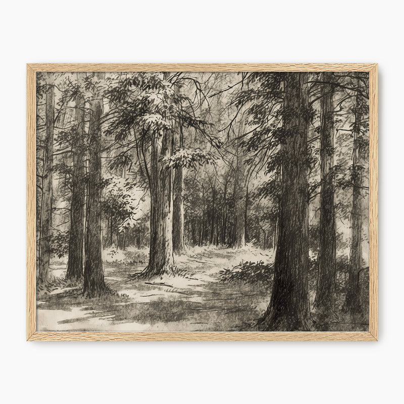 AK-46 Vintage Forest Sketch - Sage and Rose Prints