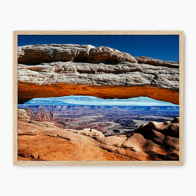 Burnt Orange Desert Photography - Sage and Rose Prints