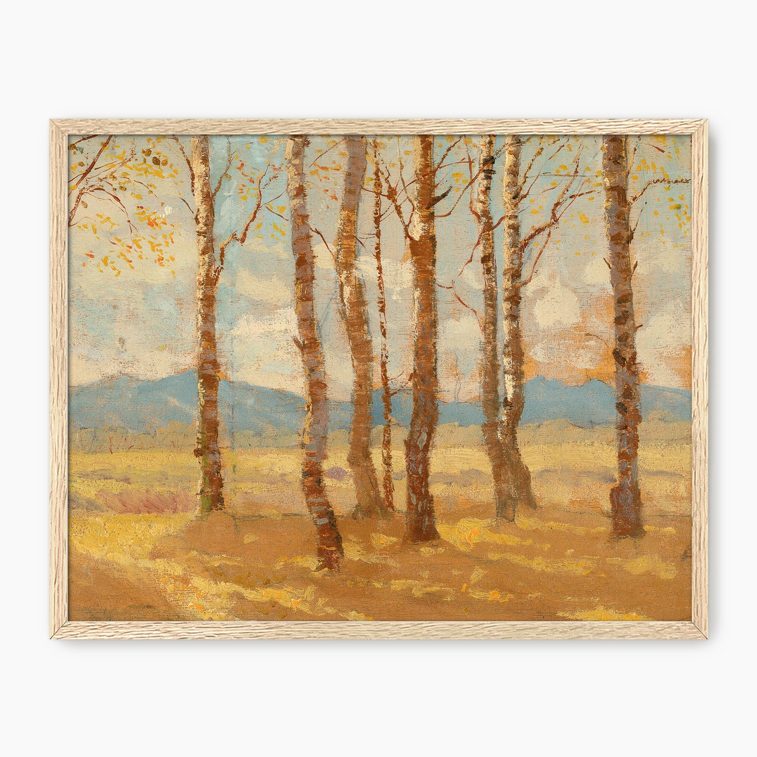 Birches in Autumn - Sage and Rose Prints