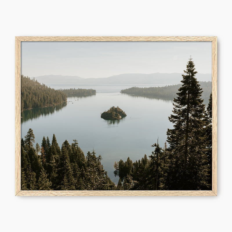 The Cove - Sage and Rose Prints