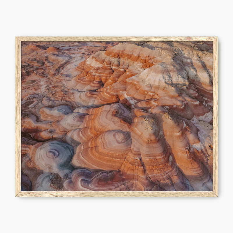 Rainbow Desert Aerial Landscape - Sage and Rose Prints