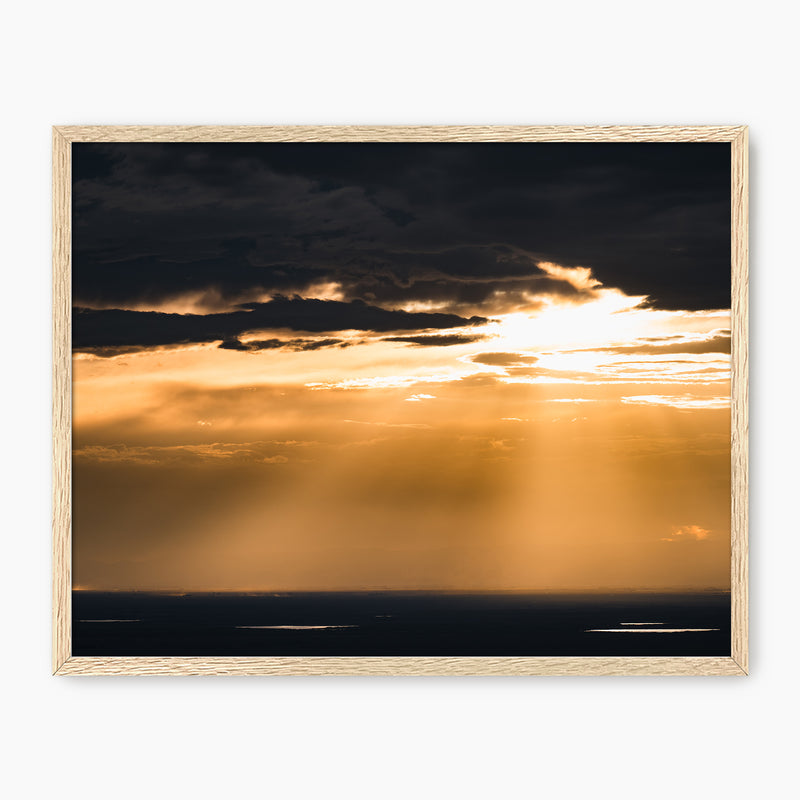 Beautiful Rays Photography - Sage and Rose Prints