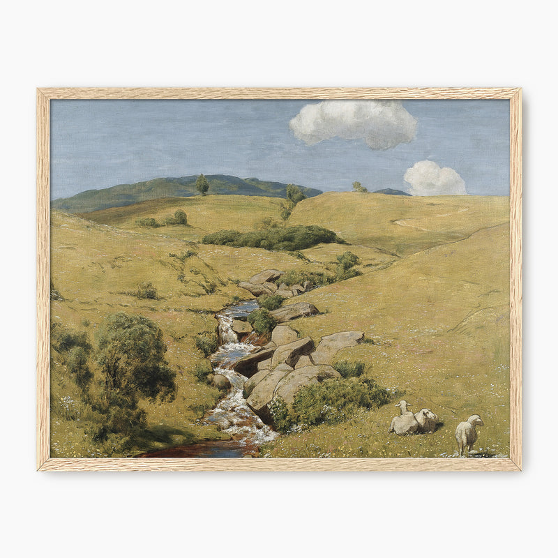 Sunny Meadow Pasture - Sage and Rose Prints