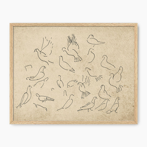 38-*AK-03- Vintage Doves Sketch - Sage and Rose Prints