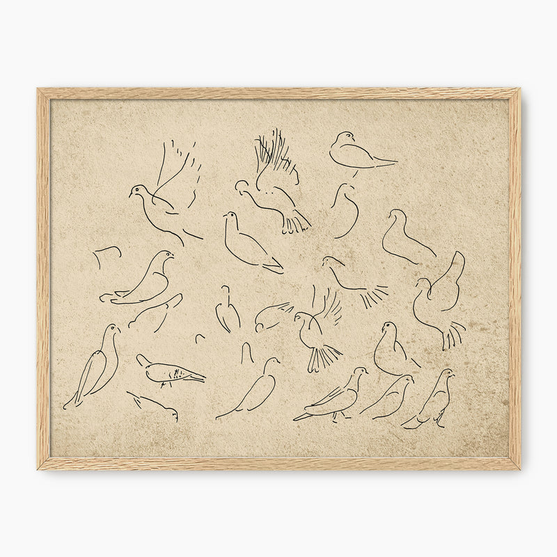 38-*AK-03- Vintage Doves Sketch - Sage and Rose Prints
